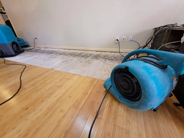 Professional Sewage Cleanup technician working in Wikieup, AZ